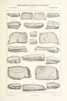 Picture 31 of 45 from Geological Survey of Illinois. A. H. Worthen, Director (1866), leaf 451