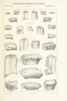 Picture 32 of 45 from Geological Survey of Illinois. A. H. Worthen, Director (1866), leaf 455