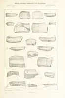 Picture 33 of 45 from Geological Survey of Illinois. A. H. Worthen, Director (1866), leaf 459