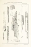 Picture 36 of 45 from Geological Survey of Illinois. A. H. Worthen, Director (1866), leaf 471