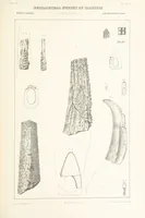An illustration from Geological Survey of Illinois. A. H. Worthen, Director (1866)