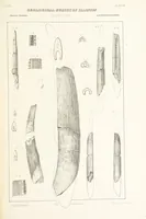 An illustration from Geological Survey of Illinois. A. H. Worthen, Director (1866)