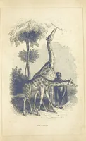 An illustration from The Wonders of the World. In nature, art & mind. Edited by H. Ince ... & Robert Mudie, etc (1855)