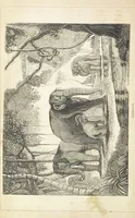 An illustration from The Wonders of the World. In nature, art & mind. Edited by H. Ince ... & Robert Mudie, etc (1855)