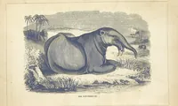 An illustration from The Wonders of the World. In nature, art & mind. Edited by H. Ince ... & Robert Mudie, etc (1855)