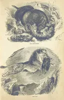 An illustration from The Wonders of the World. In nature, art & mind. Edited by H. Ince ... & Robert Mudie, etc (1855)