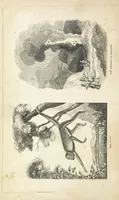 An illustration from The Wonders of the World. In nature, art & mind. Edited by H. Ince ... & Robert Mudie, etc (1855)