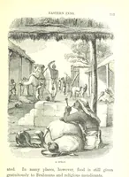 An illustration from The Indian Mirror; or, illustrations of Bible truth drawn from life in India (1878)