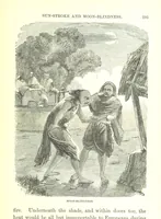 Picture 38 of 46 from The Indian Mirror; or, illustrations of Bible truth drawn from life in India (1878), leaf 299