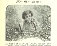 Picture 41 of 46 from The Indian Mirror; or, illustrations of Bible truth drawn from life in India (1878), leaf 319