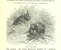 An illustration from The Indian Mirror; or, illustrations of Bible truth drawn from life in India (1878)