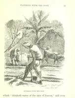 Picture 7 of 46 from The Indian Mirror; or, illustrations of Bible truth drawn from life in India (1878), leaf 59