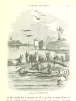 Picture 10 of 46 from The Indian Mirror; or, illustrations of Bible truth drawn from life in India (1878), leaf 85