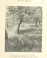 An illustration from Poems ... With illustrations by G. J. Pinwell, E. J. Poynter, ... engraved by the Brothers Dalziel (1867)