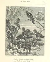 An illustration from Poems ... With illustrations by G. J. Pinwell, E. J. Poynter, ... engraved by the Brothers Dalziel (1867)