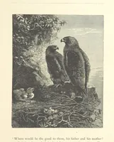An illustration from Poems ... With illustrations by G. J. Pinwell, E. J. Poynter, ... engraved by the Brothers Dalziel (1867)