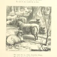 An illustration from Poems ... With illustrations by G. J. Pinwell, E. J. Poynter, ... engraved by the Brothers Dalziel (1867)