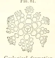 Picture 27 of 90 from Report on the Geological Survey of Iowa. By J. Hall, J. D. Whitney. [With maps.] vol. 1 (1858), leaf 112