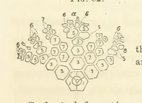 Picture 28 of 90 from Report on the Geological Survey of Iowa. By J. Hall, J. D. Whitney. [With maps.] vol. 1 (1858), leaf 113