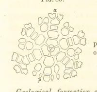 Picture 29 of 90 from Report on the Geological Survey of Iowa. By J. Hall, J. D. Whitney. [With maps.] vol. 1 (1858), leaf 116