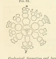 An illustration from Report on the Geological Survey of Iowa. By J. Hall, J. D. Whitney. [With maps.] vol. 1 (1858)