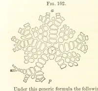 Picture 46 of 90 from Report on the Geological Survey of Iowa. By J. Hall, J. D. Whitney. [With maps.] vol. 1 (1858), leaf 170