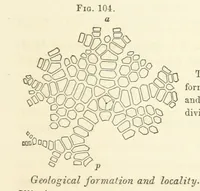 An illustration from Report on the Geological Survey of Iowa. By J. Hall, J. D. Whitney. [With maps.] vol. 1 (1858)