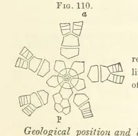 Picture 54 of 90 from Report on the Geological Survey of Iowa. By J. Hall, J. D. Whitney. [With maps.] vol. 1 (1858), leaf 223