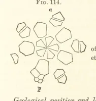Picture 58 of 90 from Report on the Geological Survey of Iowa. By J. Hall, J. D. Whitney. [With maps.] vol. 1 (1858), leaf 226