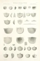 Picture 64 of 90 from Report on the Geological Survey of Iowa. By J. Hall, J. D. Whitney. [With maps.] vol. 1 (1858), leaf 277