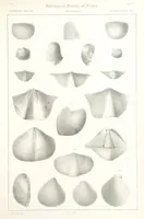 Picture 68 of 90 from Report on the Geological Survey of Iowa. By J. Hall, J. D. Whitney. [With maps.] vol. 1 (1858), leaf 289