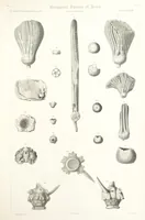 An illustration from Report on the Geological Survey of Iowa. By J. Hall, J. D. Whitney. [With maps.] vol. 1 (1858)