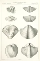 An illustration from Report on the Geological Survey of Iowa. By J. Hall, J. D. Whitney. [With maps.] vol. 1 (1858)