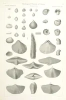 Picture 84 of 90 from Report on the Geological Survey of Iowa. By J. Hall, J. D. Whitney. [With maps.] vol. 1 (1858), leaf 337