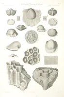An illustration from Report on the Geological Survey of Iowa. By J. Hall, J. D. Whitney. [With maps.] vol. 1 (1858)