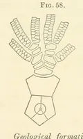 Picture 6 of 90 from Report on the Geological Survey of Iowa. By J. Hall, J. D. Whitney. [With maps.] vol. 1 (1858), leaf 73