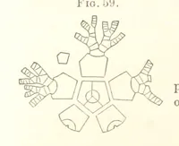 Picture 8 of 90 from Report on the Geological Survey of Iowa. By J. Hall, J. D. Whitney. [With maps.] vol. 1 (1858), leaf 78