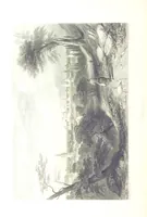 An illustration from Italy, classical, historical and picturesque. Illustrated in a series of views from drawings by Stanfield, R. A., Roberts, R. A., Harding, Prout, Leitch, Brockedon, Barnard, &c. &c. With descriptions of the scenes. Preceded by an introductory essay, on the recent history and present condition of Italy and the Italians, by Camillo Mapei (translated by David Dundas Scott) (1859)