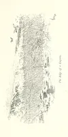 An illustration from On the Trail of Don Quixote: being a record of rambles in the ancient province of La Mancha ... Illustrated by D. Vierge (1897)