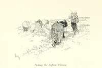 Picture 104 of 138 from On the Trail of Don Quixote: being a record of rambles in the ancient province of La Mancha ... Illustrated by D. Vierge (1897), leaf 203