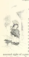 An illustration from On the Trail of Don Quixote: being a record of rambles in the ancient province of La Mancha ... Illustrated by D. Vierge (1897)