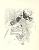 An illustration from On the Trail of Don Quixote: being a record of rambles in the ancient province of La Mancha ... Illustrated by D. Vierge (1897)