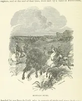 An illustration from The History of Jackson County, Iowa ... Illustrated (1879)