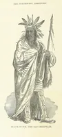 An illustration from The History of Jackson County, Iowa ... Illustrated (1879)