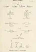 Picture 34 of 34 from Qanoon-e-Islan, or the Customs of the Moosulmans of India; comprising a full and exact account of their various rites and ceremonies ... By Jaffur Shurreef. Composed under the direction of, and translated by, G. A. Herklots (1863), leaf 513