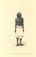 Picture 1 of 50 from The Wild Tribes of the Soudan. An account of travel and sport, chiefly in the Basé country, etc (1883), leaf 10