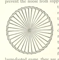 An illustration from The Wild Tribes of the Soudan. An account of travel and sport, chiefly in the Basé country, etc (1883)