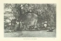 Picture 36 of 50 from The Wild Tribes of the Soudan. An account of travel and sport, chiefly in the Basé country, etc (1883), leaf 277