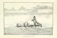 Picture 39 of 50 from The Wild Tribes of the Soudan. An account of travel and sport, chiefly in the Basé country, etc (1883), leaf 293