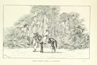 Picture 42 of 50 from The Wild Tribes of the Soudan. An account of travel and sport, chiefly in the Basé country, etc (1883), leaf 319
